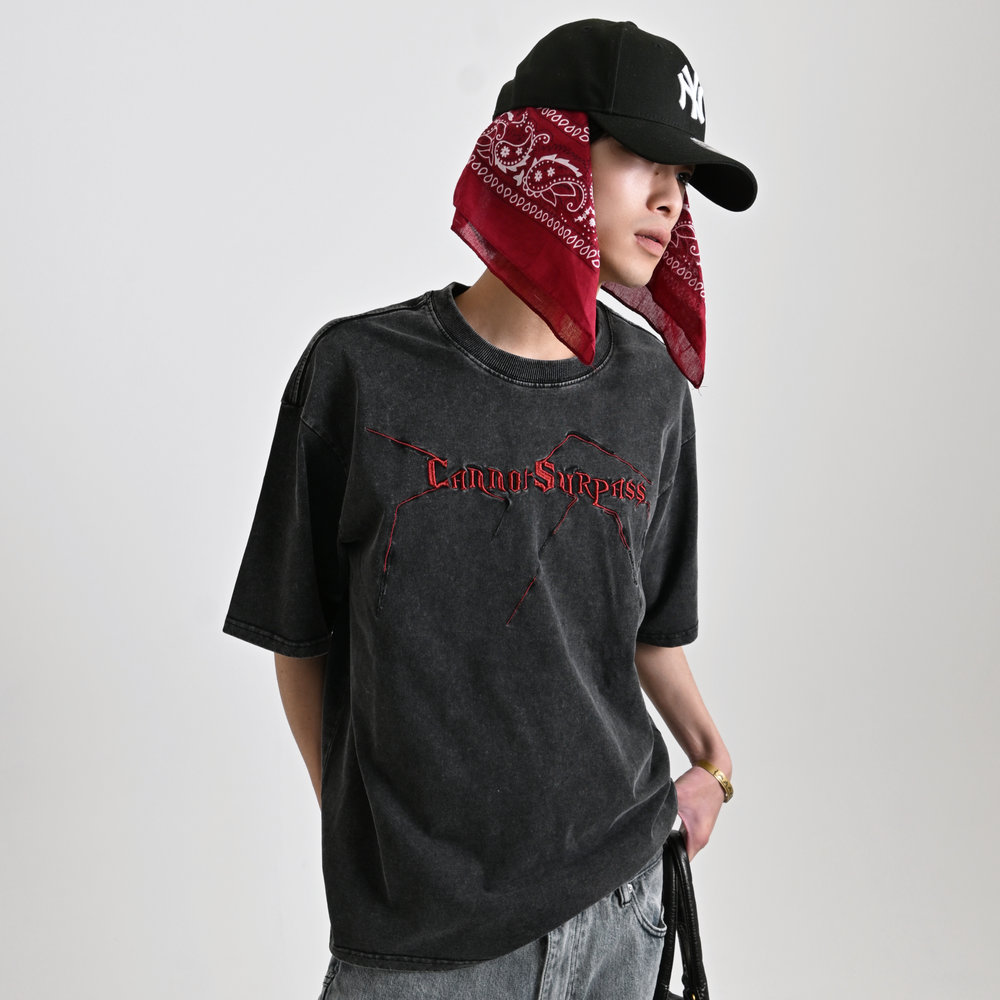 【10日以内お届け】ウォッシュドヴィンテージビッグTシャツ L1119