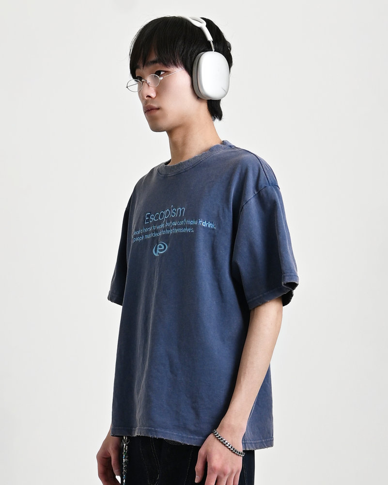 【10日以内お届け】エンブロイダリーTシャツ L2119