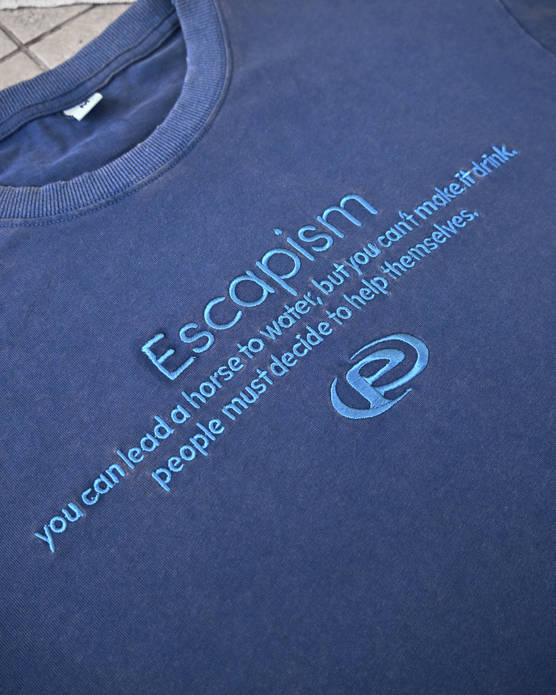 【10日以内お届け】エンブロイダリーTシャツ L2119